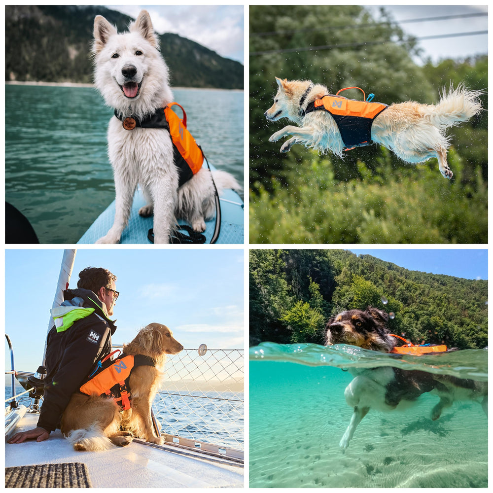 Taille 2 adaptée aux chiens moyens et facile à ajuster.