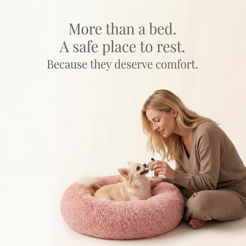 Nononfish lit beignet pour petits animaux, idéal pour chiots et chats.