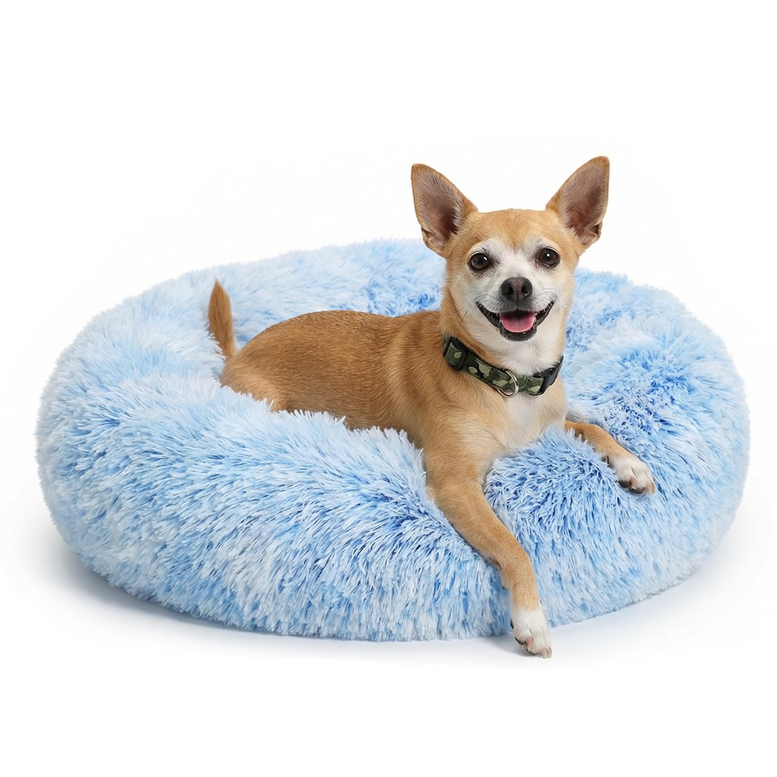 Lit en forme de beignet Nononfish bleu dégradé, parfait pour apaiser les chiots.
