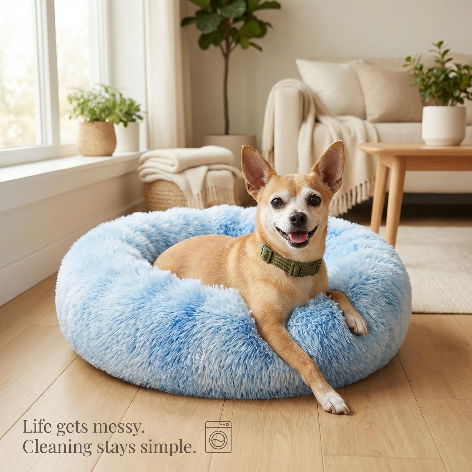 Utilisation polyvalente du lit beignet Nononfish pour chien et chat.