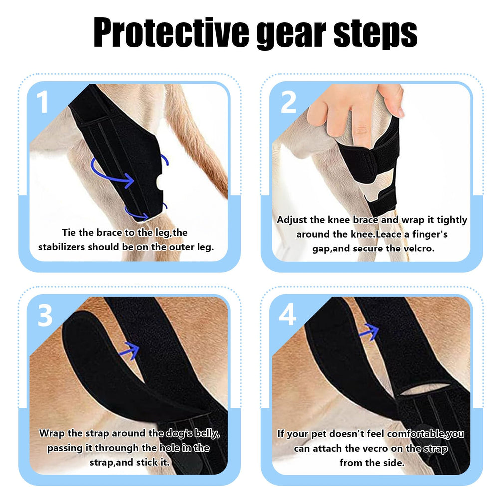 Noorace attelle-genou-chien-sangles-ajustables: fixation personnalisée pour activité quotidienne.