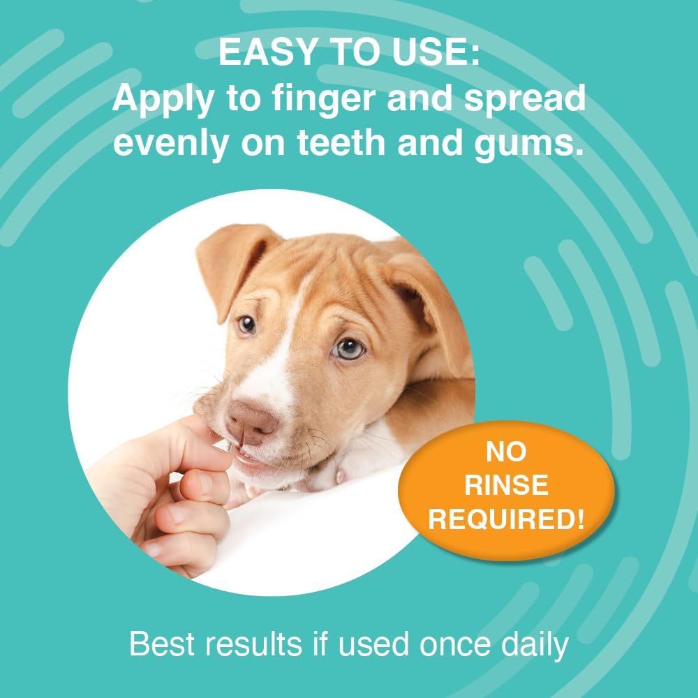 Lutte contre tartre et plaque avec le gel dentaire pour chien Nootie.
