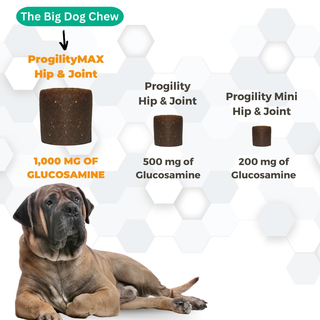 Nootie Progility probiotiques pour digestion et immunité canine.