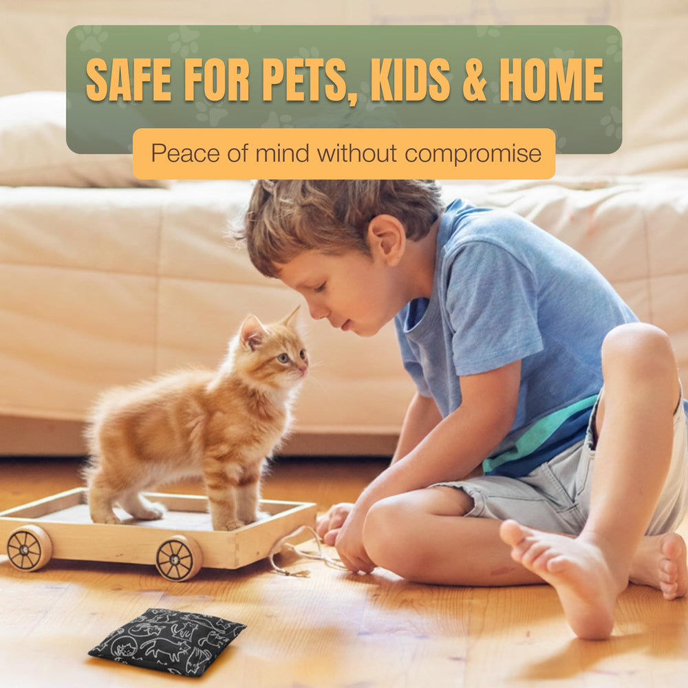 NOPEE sac-anti-marquage-chat utilisé sur canapé ou tapis, prévention pratique.