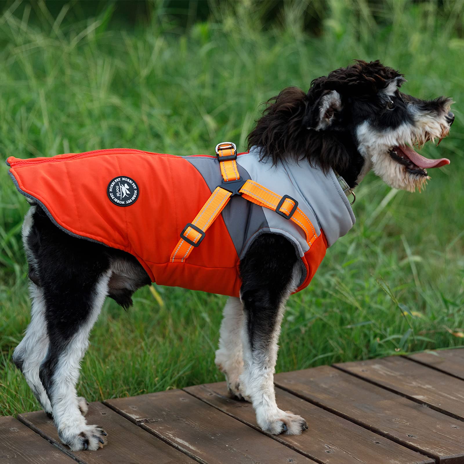 Guide des tailles Norbi pour chien petit pour une coupe adaptée