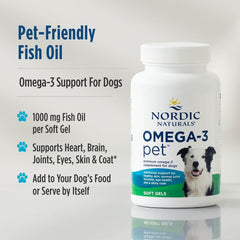 Nordic Naturals huile poisson pour chiens – Flacon pratique – peut soutenir peau et immunité.