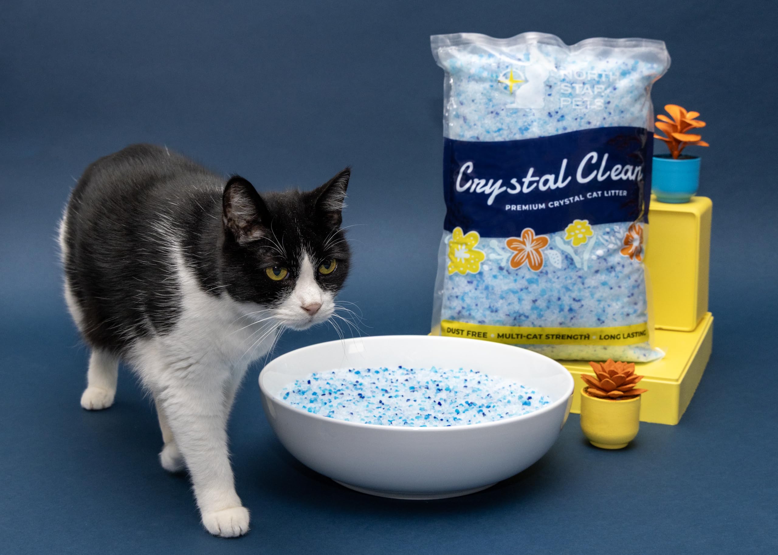 Compatibilité avec plateaux réutilisables PetSafe