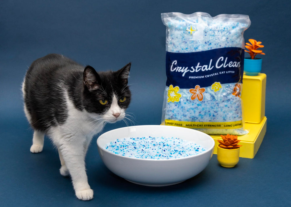 Compatibilité avec plateaux réutilisables PetSafe