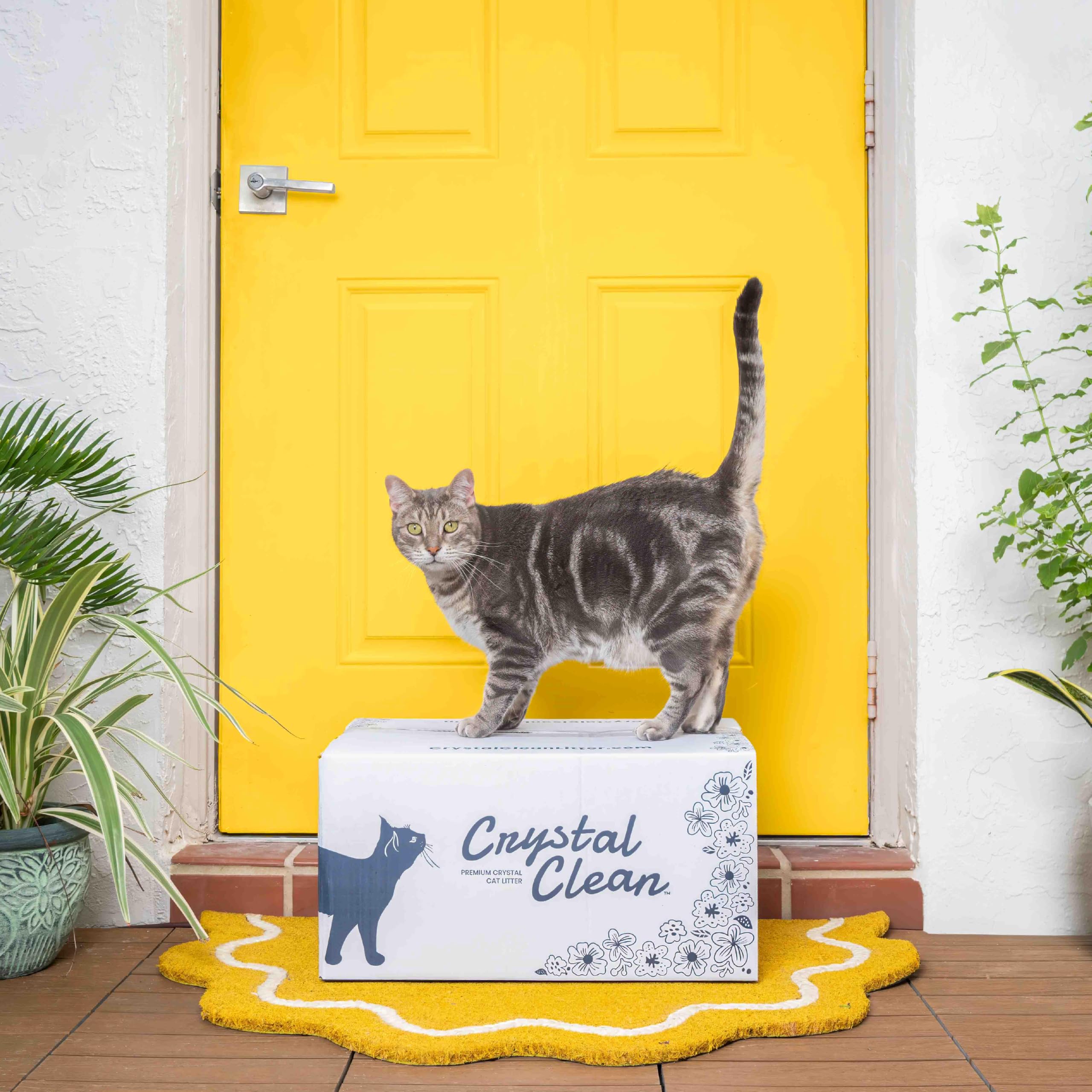 Fabriqué aux États‑Unis, entreprise familiale North Star Pets