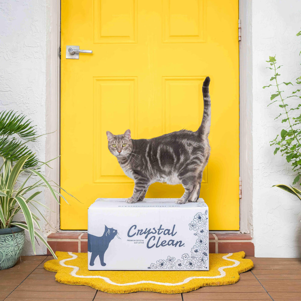 Fabriqué aux États‑Unis, entreprise familiale North Star Pets