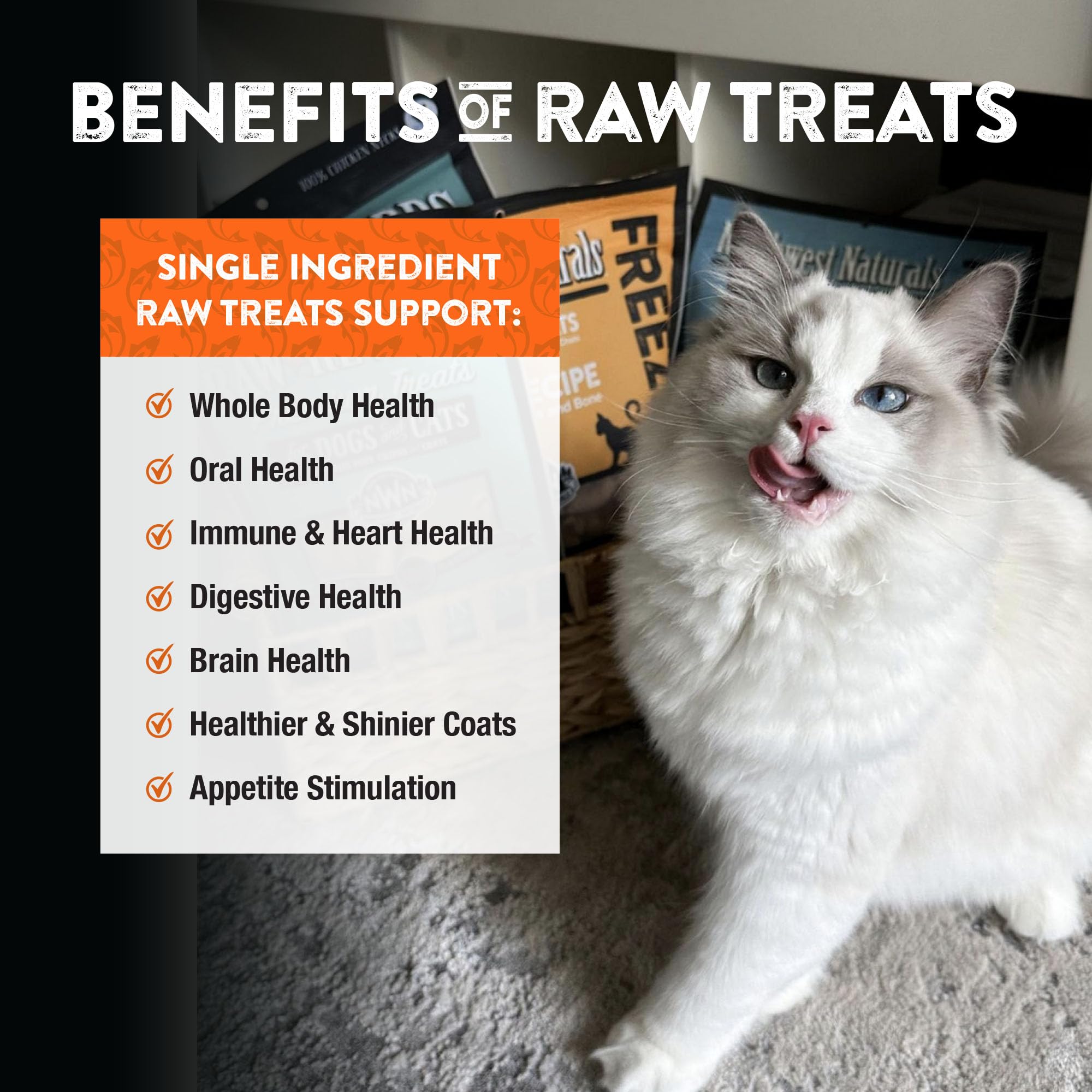 Chat dégustant les bouchées Northwest Naturals, plaisir sain et simple.