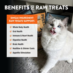 Chat dégustant les bouchées Northwest Naturals, plaisir sain et simple.