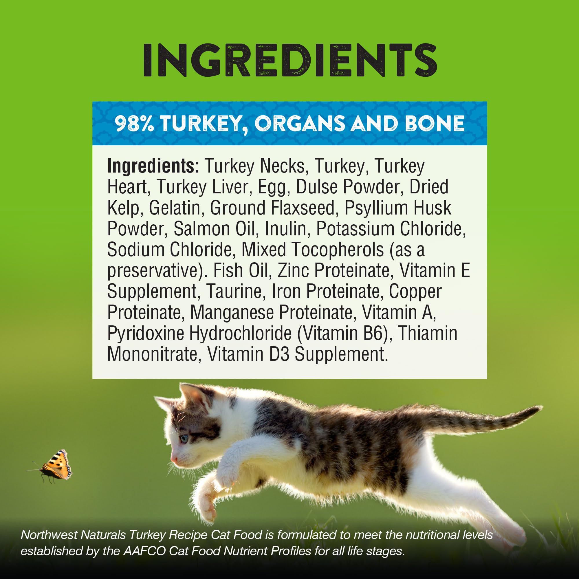 Chaton près du bol, moment de repas agréable avec Northwest Naturals.