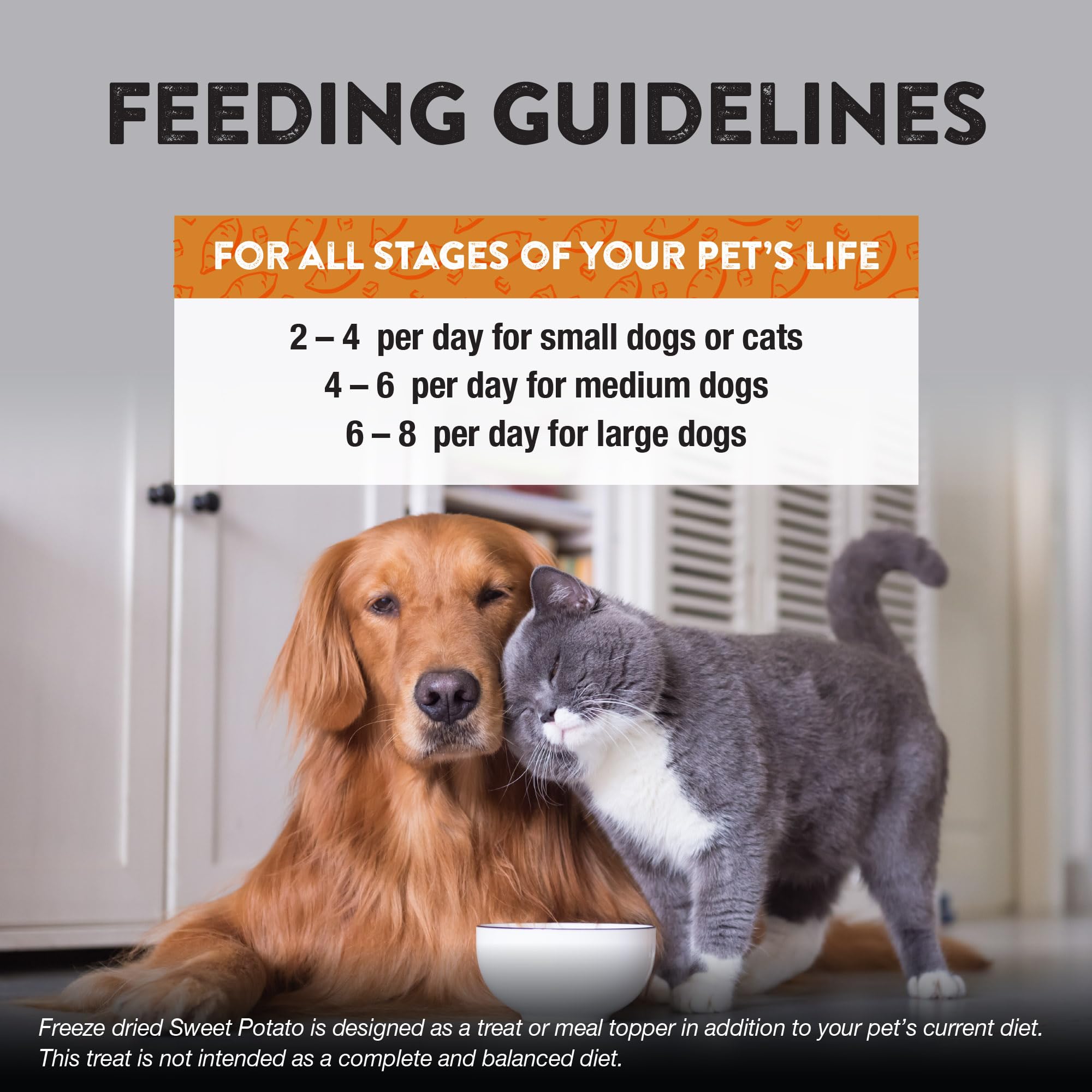 Northwest Naturals Raw Rewards bouchées lyophilisées taille idéale pour chiens et chats.
