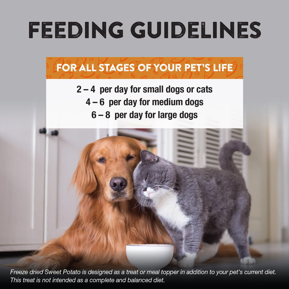 Northwest Naturals Raw Rewards bouchées lyophilisées taille idéale pour chiens et chats.