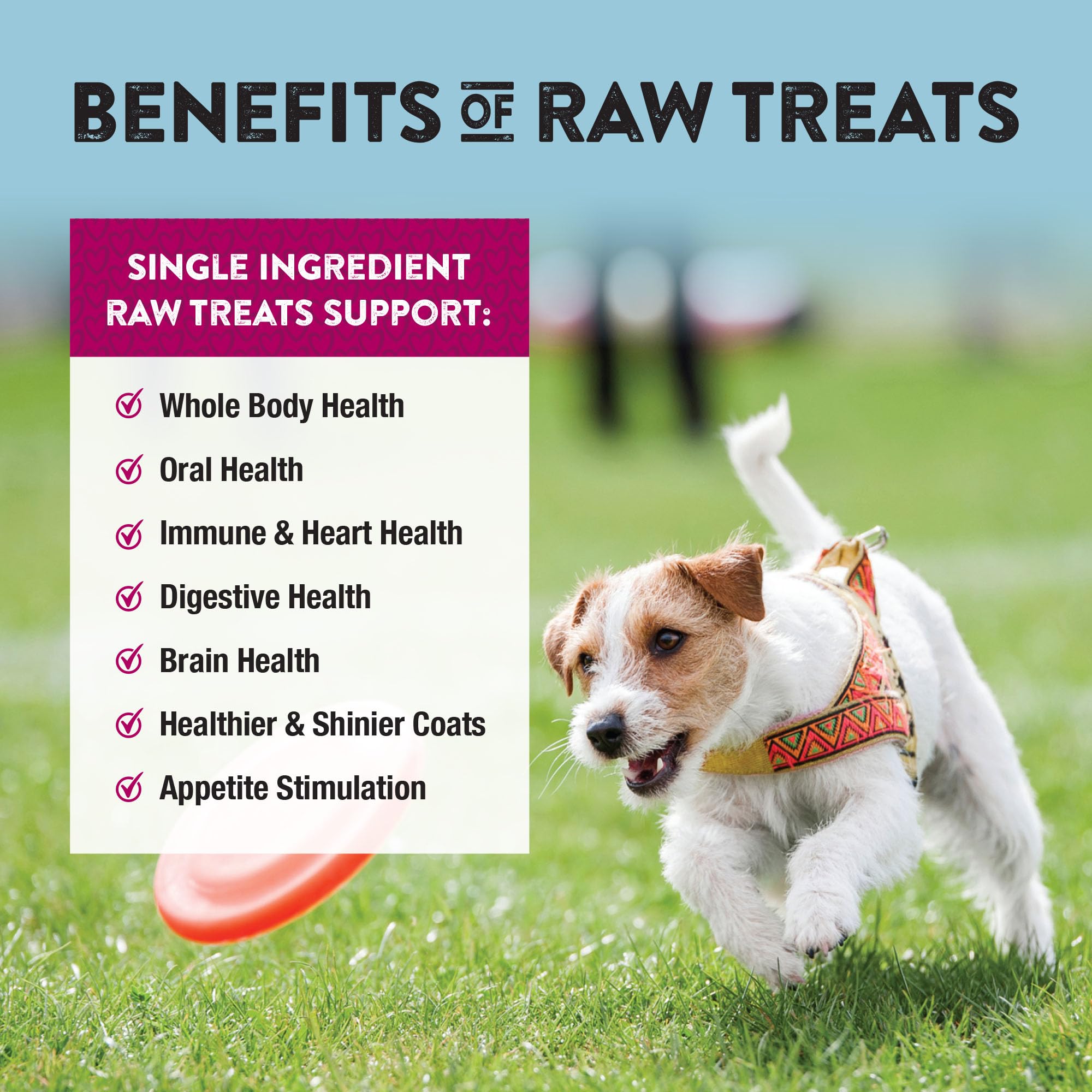 Sans additifs Northwest Naturals, convient à toutes tailles de chiens et chats.