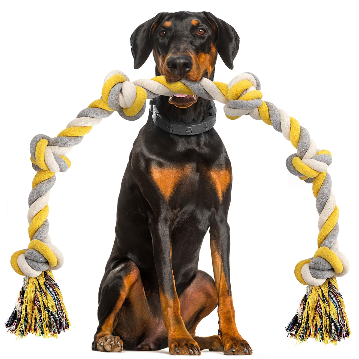 Norvy jouet corde chien XXL vue-generale, pratique pour tirage et stimulation physique.