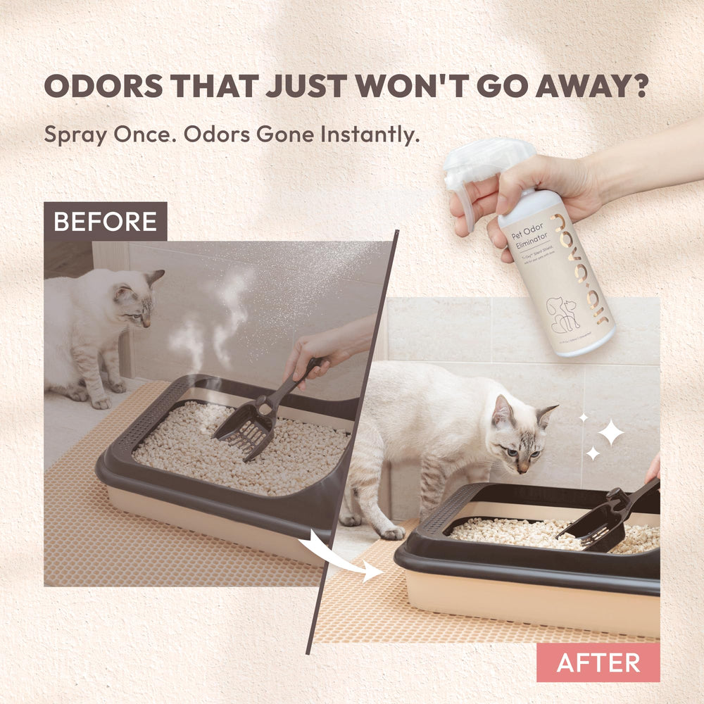 Nova-air odeurs d'animaux sur tissus, solution sans parfum agressif.