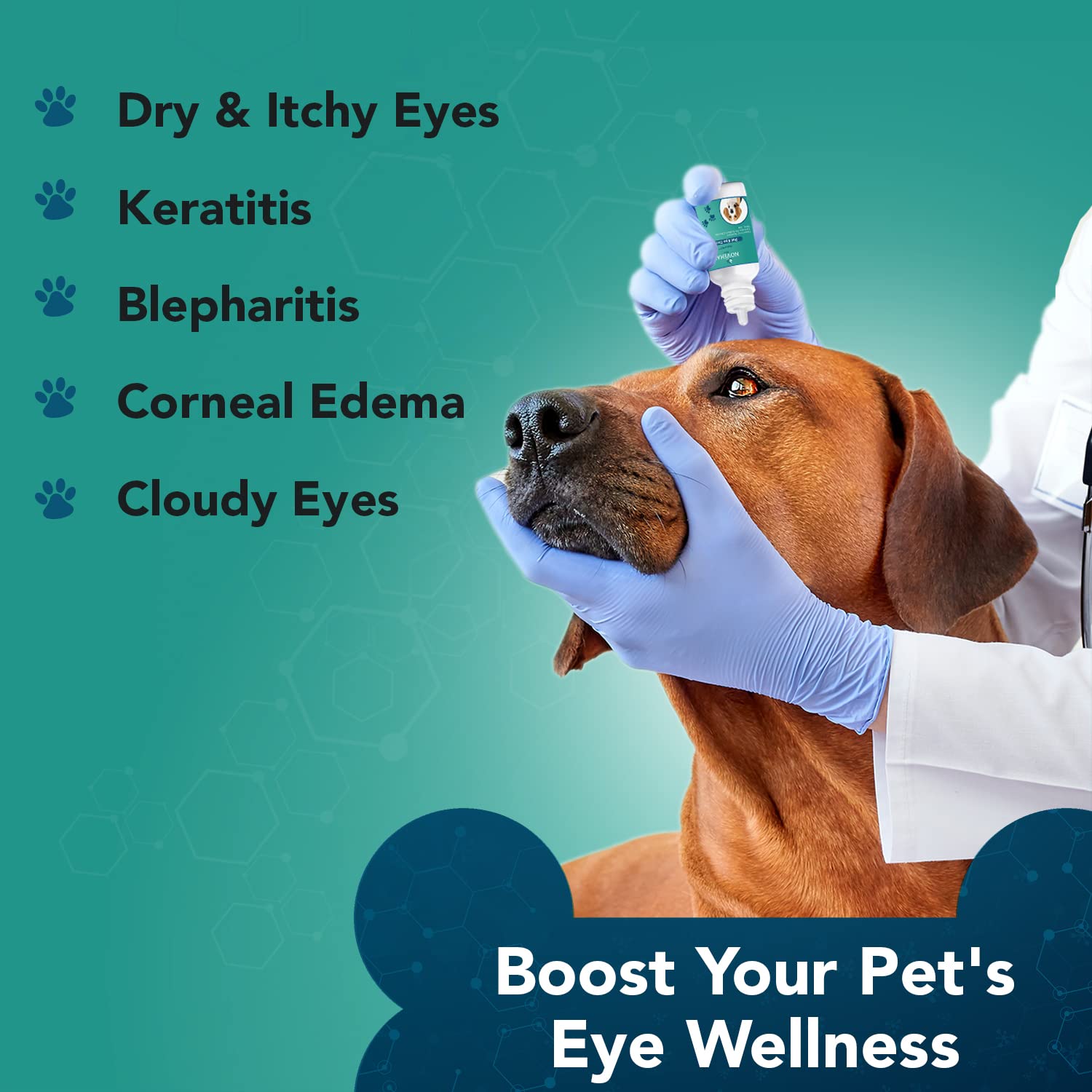 Application facile des gouttes HydraPET sur les yeux des animaux
