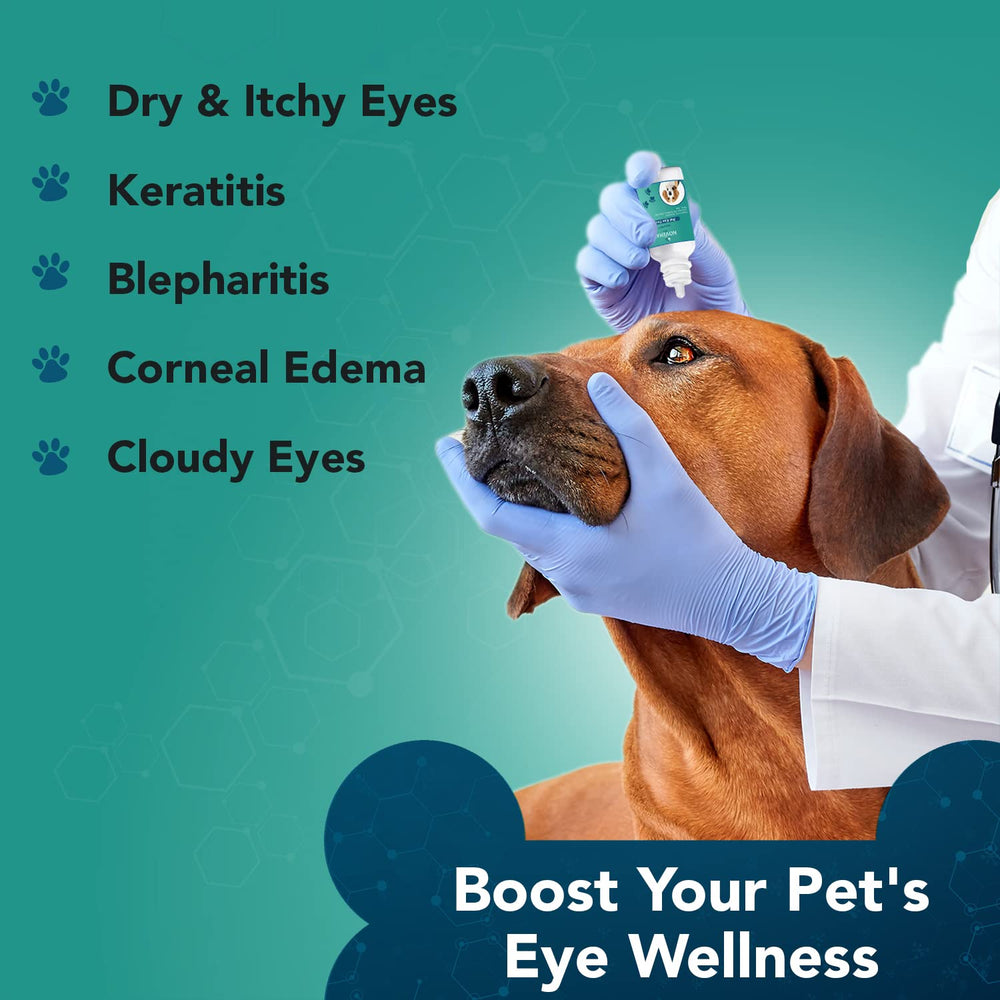 Application facile des gouttes HydraPET sur les yeux des animaux