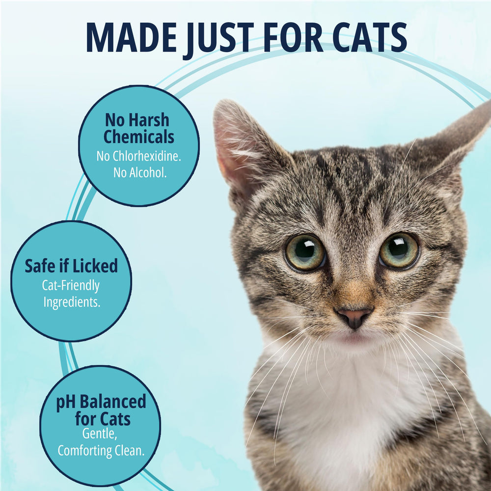 Nettoyage extérieur des oreilles du chat avec NOVEHA, sans alcool.