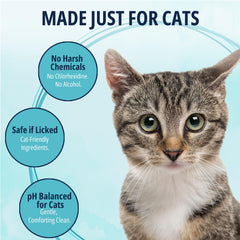 Nettoyage extérieur des oreilles du chat avec NOVEHA, sans alcool.