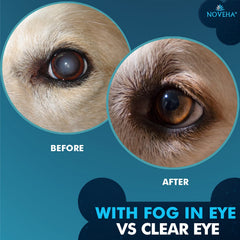 NOVEHA Nettoyage en gouttes pour animaux : ingrédients Lanosterol et NAC pour le confort visuel.