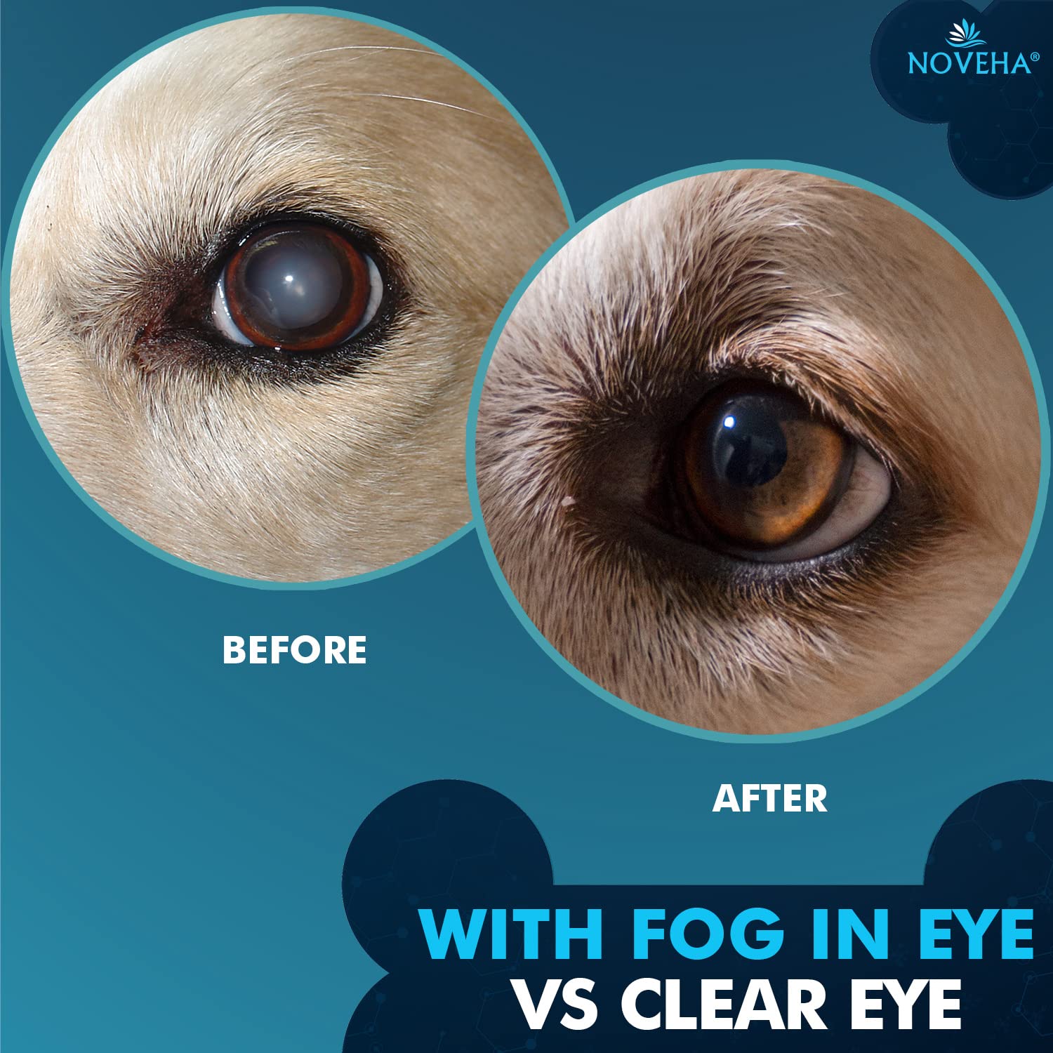 Adapté à tous les animaux de compagnie avec NOVEHA Pet Drops