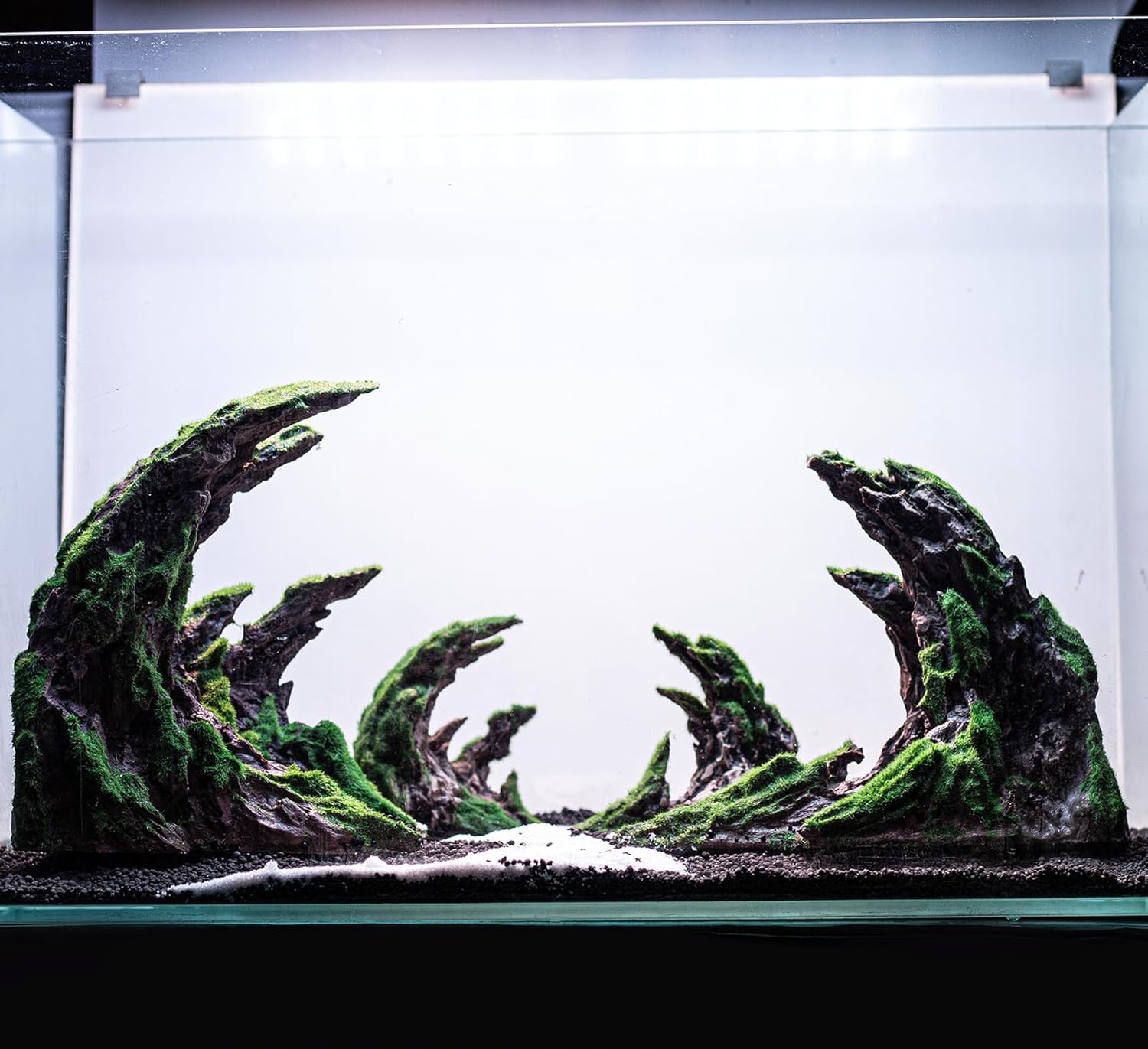 Novelsite scene-aquarium-elegante, style discret pour un aquarium élégant.