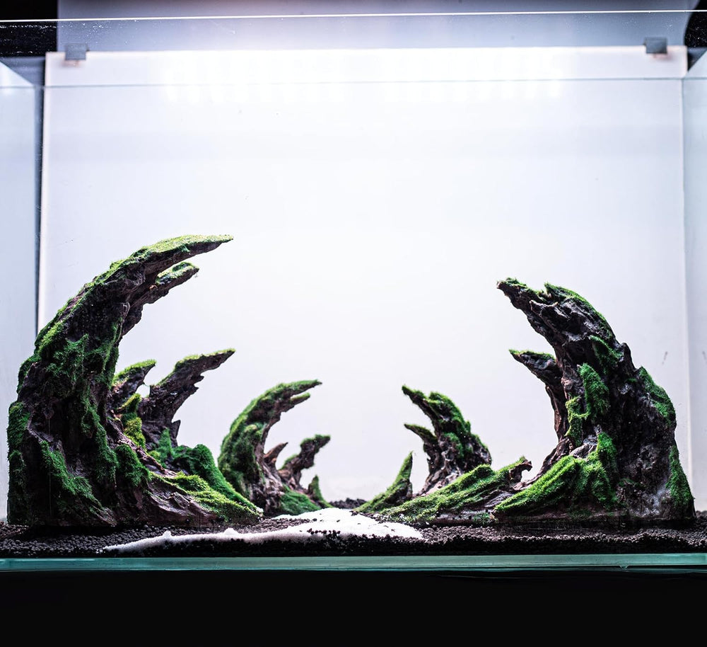 Novelsite scene-aquarium-elegante, style discret pour un aquarium élégant.