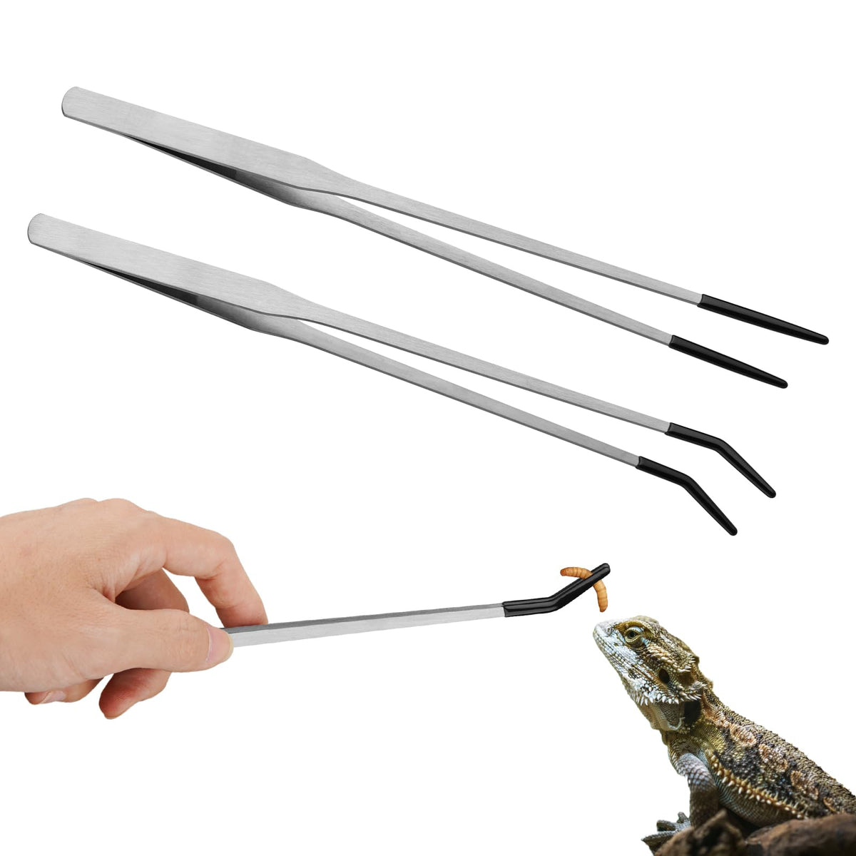 Novery pinces reptile courbe de 10,6 pouces pour une alimentation précise.