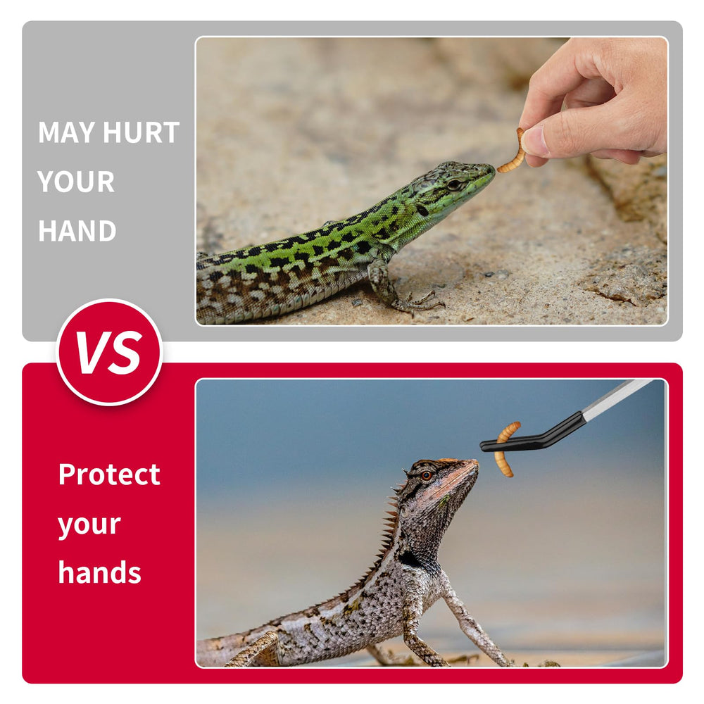 Novery pinces reptile ergonomiques pour une prise confortable et précise.