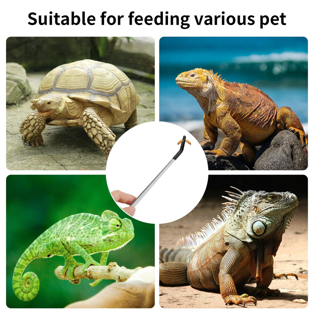 Novery pinces reptile terrarium polyvalentes utiles en aquariums.