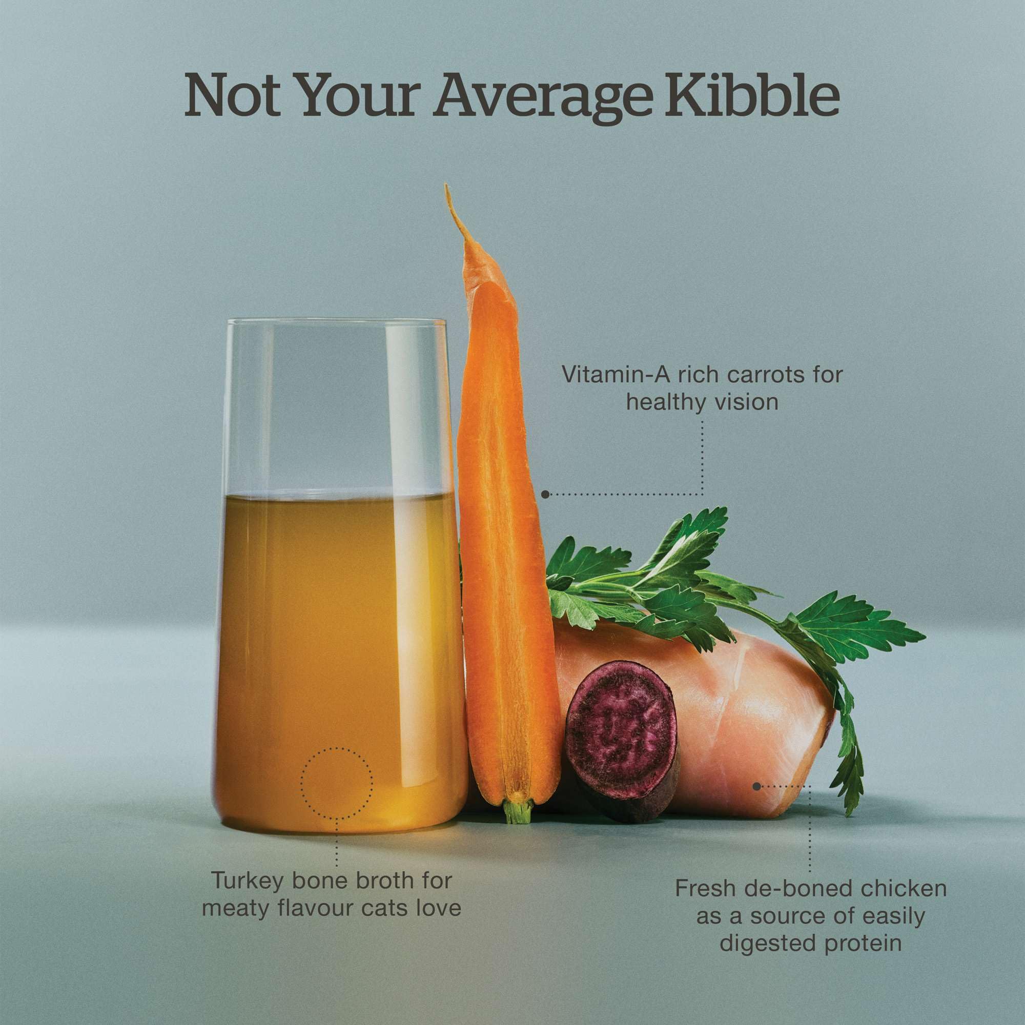 Now Fresh Good Gravy L-carnitine: aide potentielle au metabolisme des graisses.