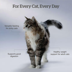Now Fresh Good Gravy sans cereales: recette adaptée aux chats sensibles.
