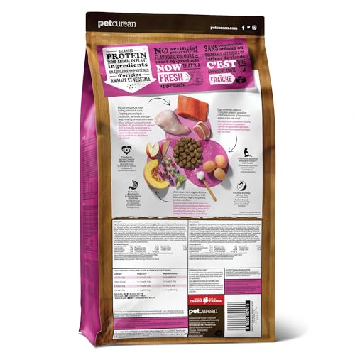 Now Fresh proteines multiples dinde saumon canard : melange appetissant et digestible pour les chats.