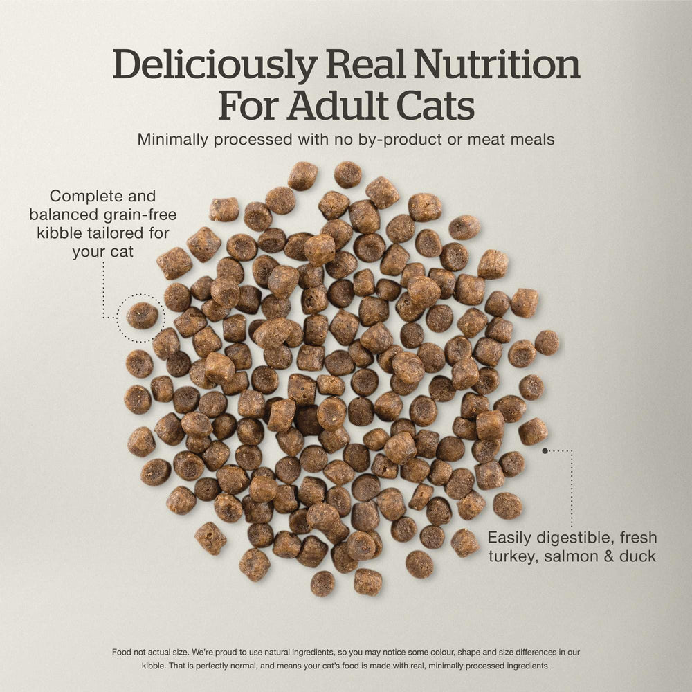 Now Fresh sans cereales gluten : recette sans cereales pour felins sensibles.