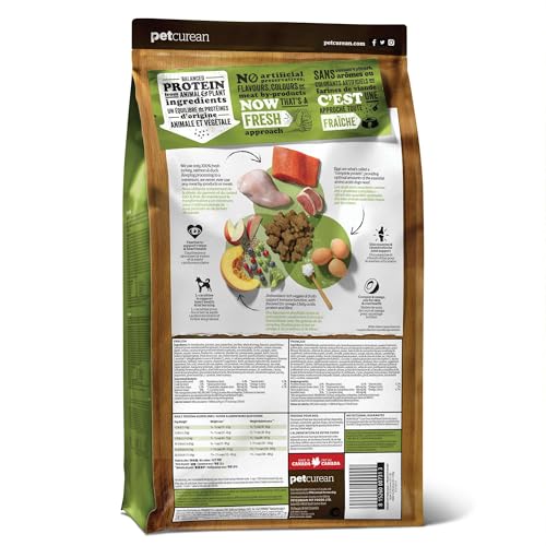 Now Fresh Senior: bol-repas attrayant pour petites races et repas équilibré.