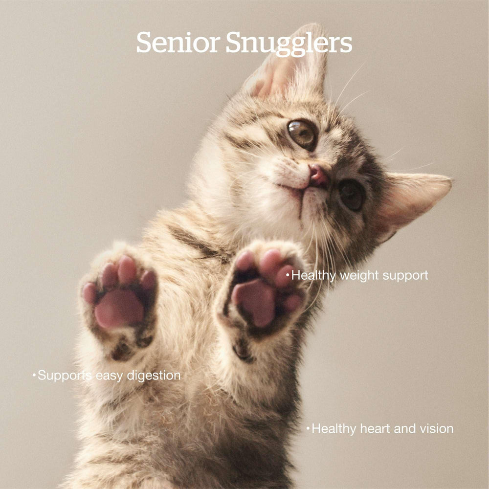 Now Fresh Senior probiotiques et fibres pour digestion intestinale.