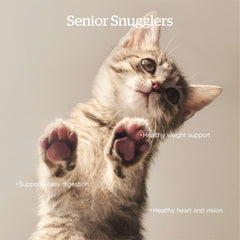 Now Fresh Senior probiotiques et fibres pour digestion intestinale.
