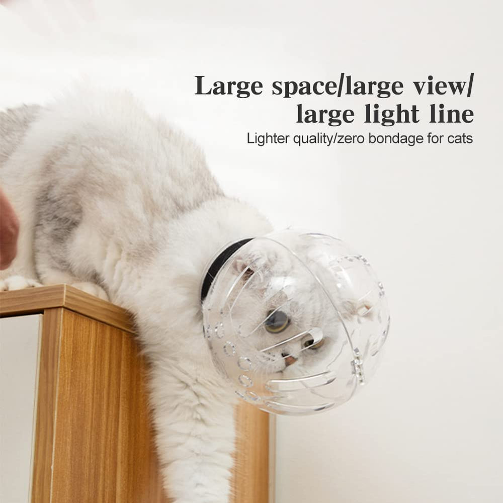NOWHYX muselière chat taille B adaptée aux petits chiens et chats