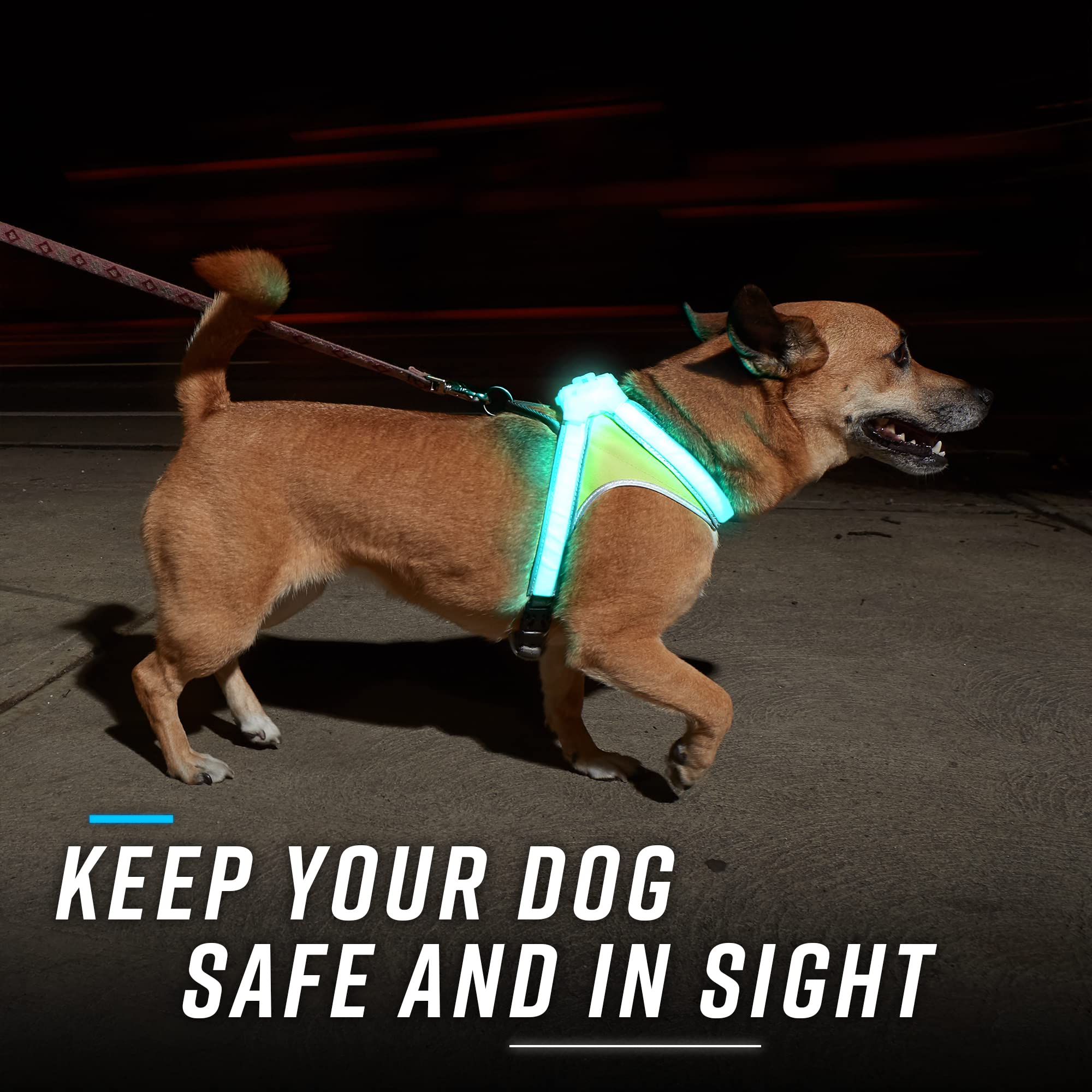 Noxgear LightHound propose des modes lumineux multicolores pour attirer l’attention des conducteurs.