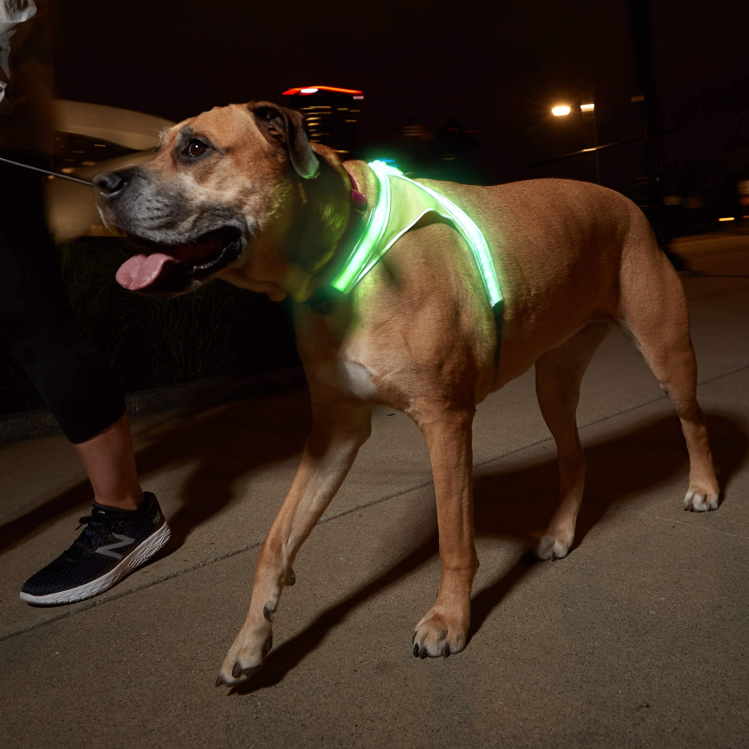 Installation rapide LightHound facilite les sorties