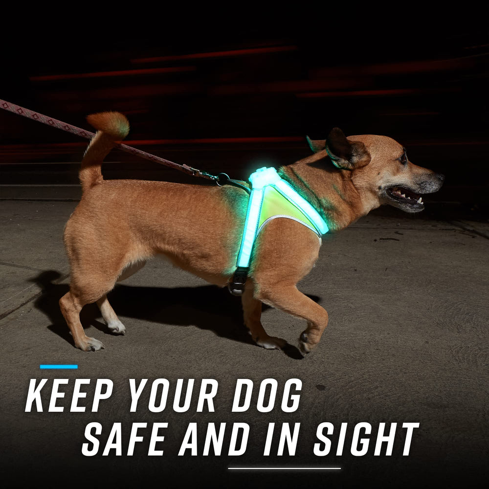 Recharge USB LightHound offre une grande autonomie