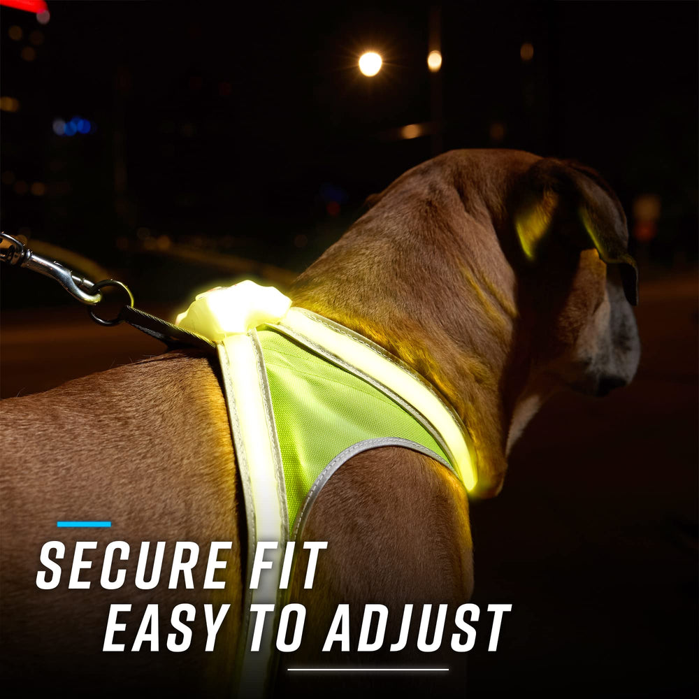 Reflet à 360 degrés LightHound améliore la détection par les conducteurs