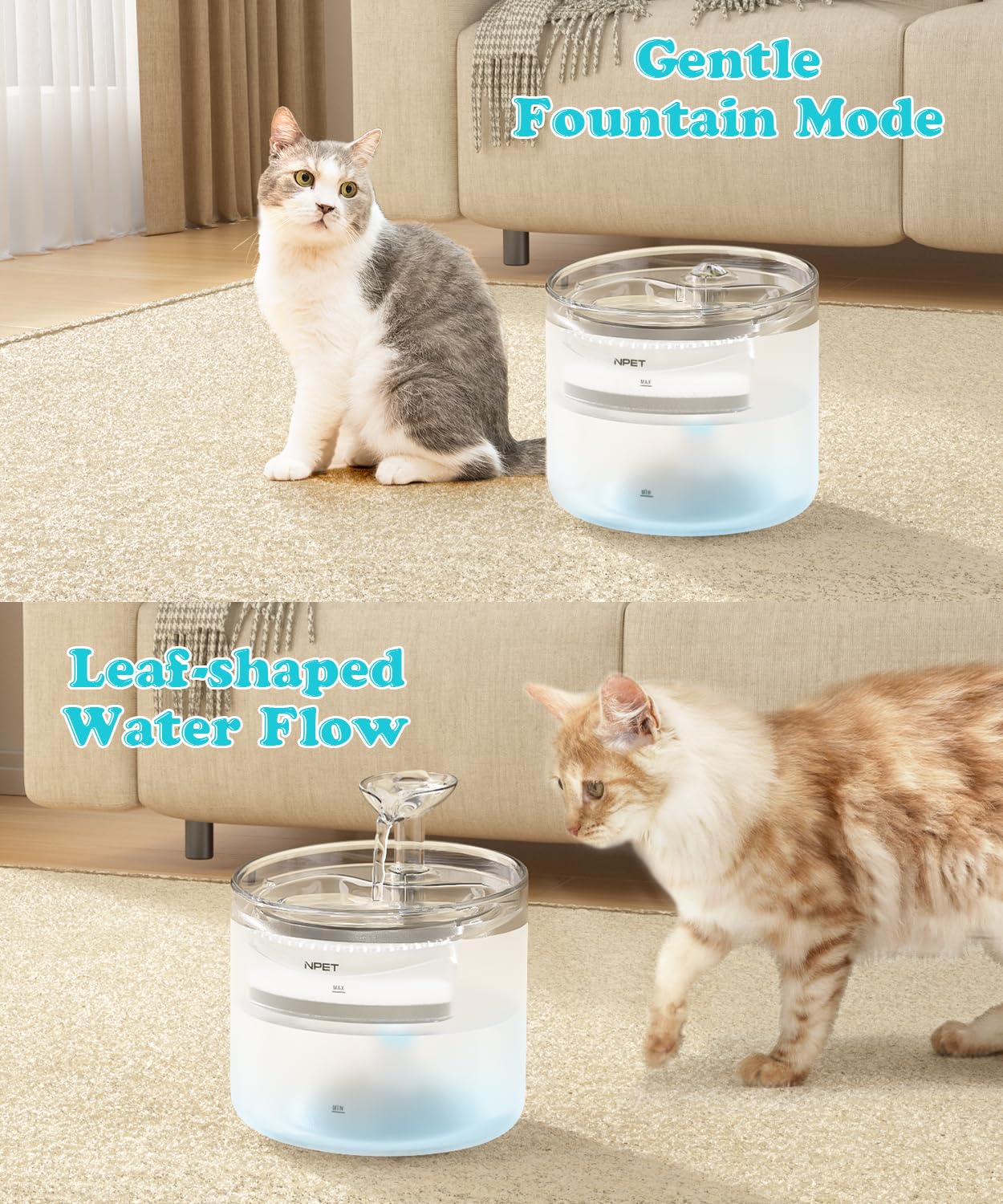 NPET WF100 montre deux flux pour chats.