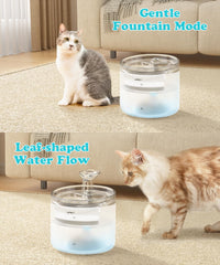NPET WF100 montre deux flux pour chats.