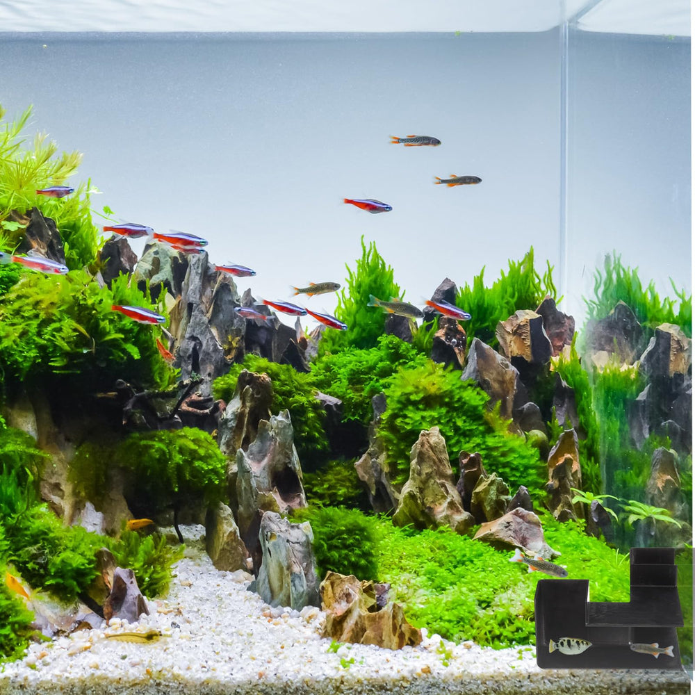 Nuanchu tunnel noir, design moderne qui complète plantes et décorations.