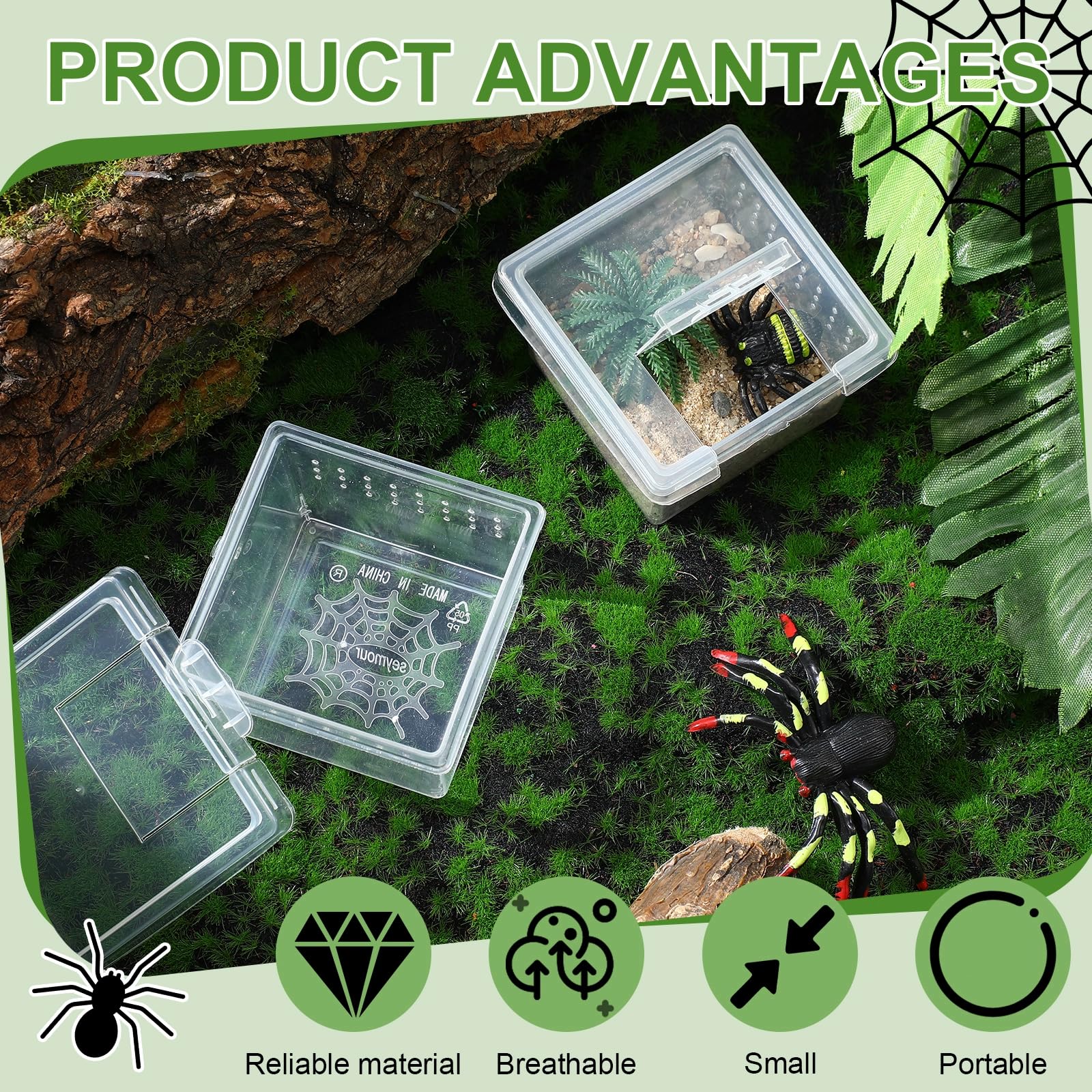 Nuanchu boîtes d'élevage, habitat miniature pour araignées et scorpions.