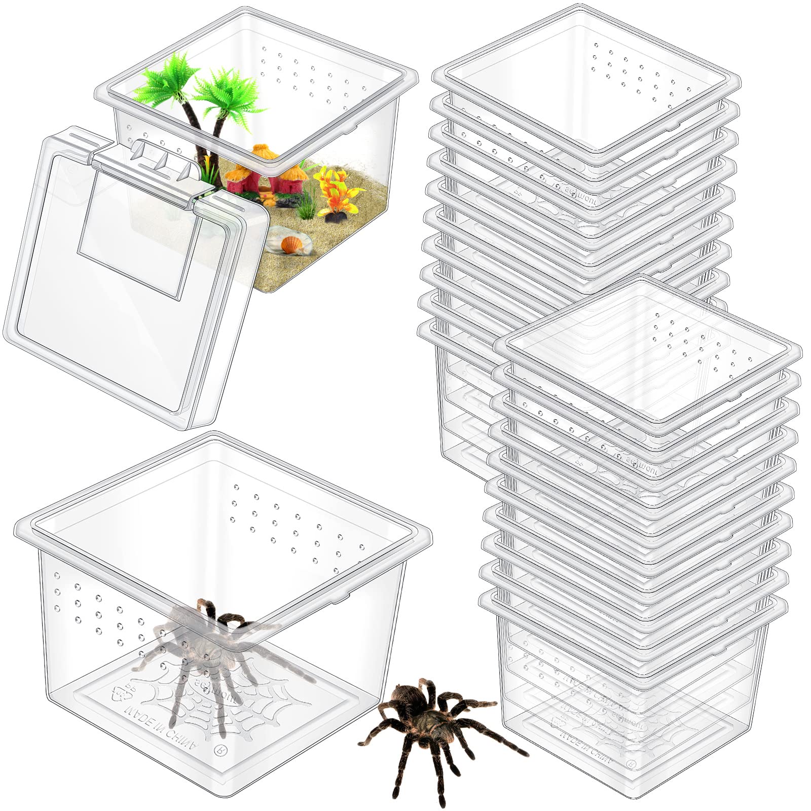 Nuanchu boîte d'élevage, terrarium transparent, vue frontale pour observer petits insectes.